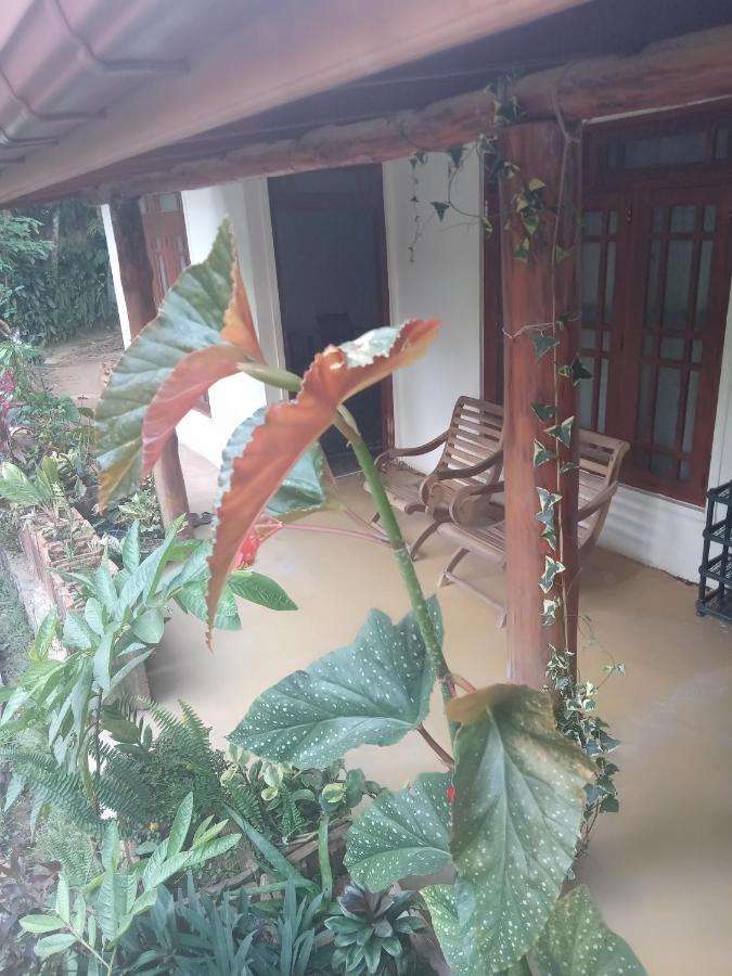 Supipi Homestay Ella Exteriör bild