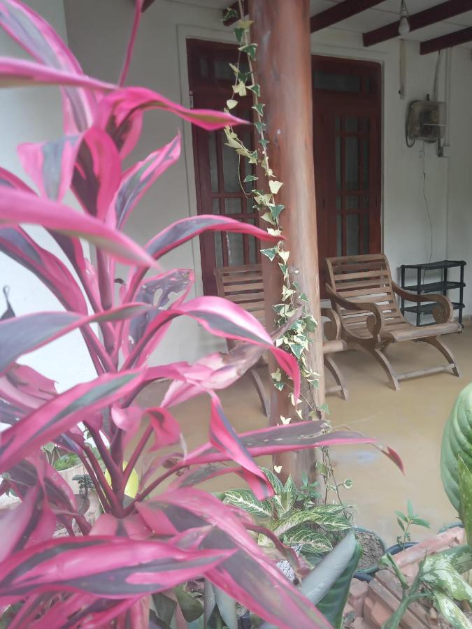 Supipi Homestay Ella Exteriör bild